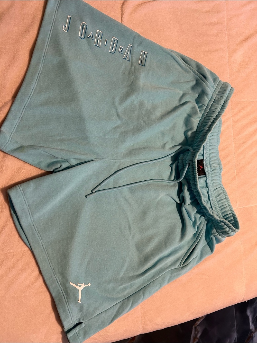 Nike Jordan Men’s Teal Athletic Shorts